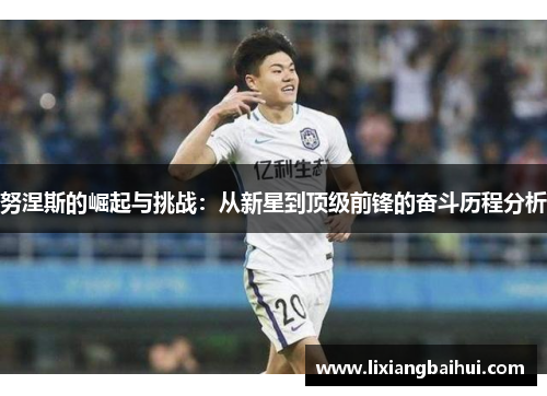 努涅斯的崛起与挑战：从新星到顶级前锋的奋斗历程分析