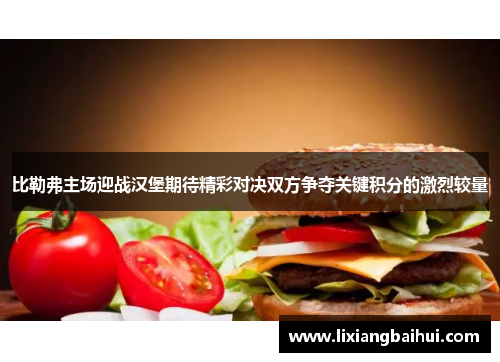 比勒弗主场迎战汉堡期待精彩对决双方争夺关键积分的激烈较量